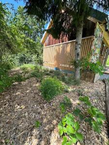 TajnyHauz Beehauz terapia na včelách