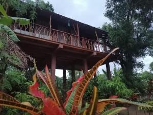 Sigiriya Rock View Tree house