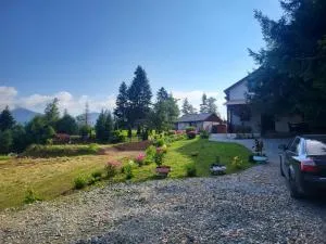 Căsuța din Pădure - Bistriţa Bîrgăului