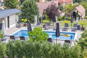 Ludvig Panzió - 维拉尼