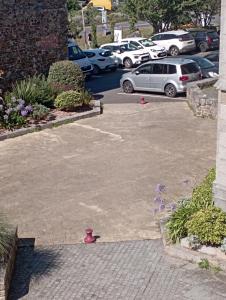 Appartements Saint Pair sur Mer 50 m de la plage : Appartement 2 Chambres