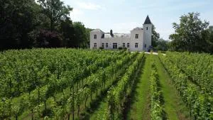 WijnKasteel Haksberg - Diest