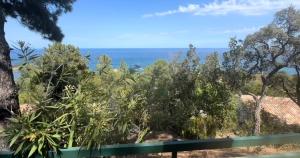 Villas Le Thyreneen : photos des chambres