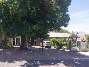 THE TREE HOUSE - Pineview