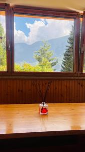 Residence Larici Belvedere