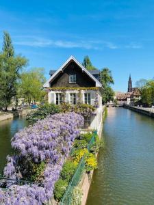 Appartements Beau studio proche Strasbourg : photos des chambres