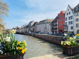 Appartements Beau studio proche Strasbourg : photos des chambres