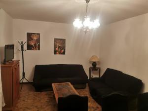 Appartements Spacieux appartement dans Villa : photos des chambres