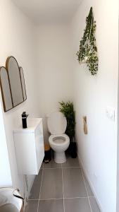 Magnifique deux pièces au cœur de espaly Saint-Marcel