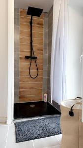 Appartements Magnifique deux pieces au coeur de espaly Saint-Marcel : photos des chambres