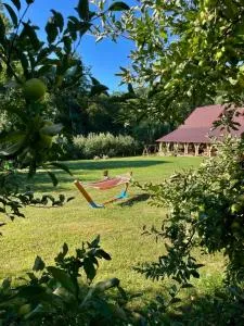 Cabana Oana 5-bedrooms chalet - Bata