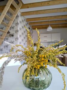 Agroturystyka Kozianka