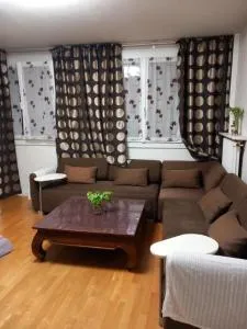 appartement périurbain de Paris et Versailles - 布雷西尔