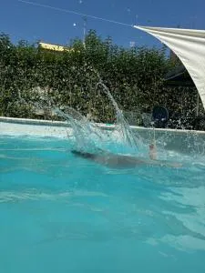 Dante alighieri rooms - 皮亚内洛瓦莱西纳