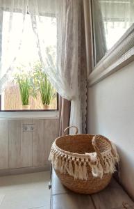 Acogedora casa con jardin y barbacoa