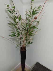 Quarto 1 para mulher