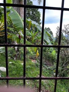 DiNancyCasolare - La Colonia, SC