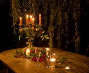 Maisons de vacances La Cabanote : photos des chambres