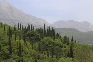 BELAIR Rooms Montenegro