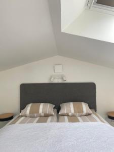 Modern guesthouse with loft