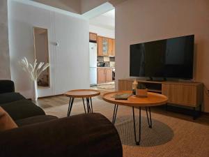 Spartan Townhouse Apt 4 Spartan Spirit