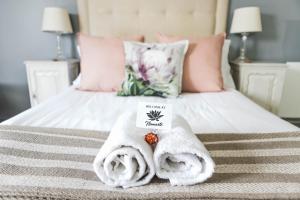 Namaste Spacious Studio Apartment