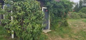 Ruda Rzeczka - domek letniskowy nad stawem z balią i wiatą