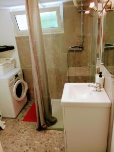 Appartements Charmant loft avec jardin pres du centre ville : photos des chambres