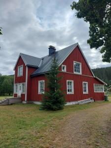 Ferienhaus Segenäs Schweden
