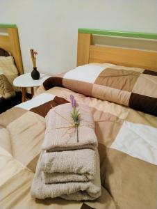 Casa vacanze LAGHI E MONTI