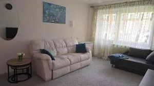 Kristi Apartments - 维萨吉纳斯