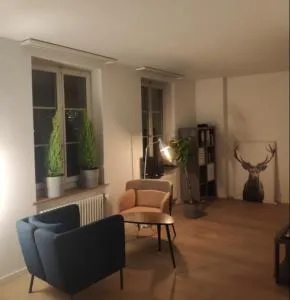 Loft im Herzen der Berner Altstadt - 伯尔尼