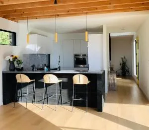 Luxurious Modern house - Ґібсонс