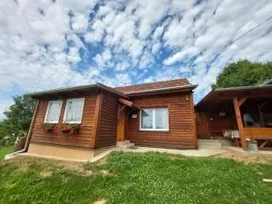 Dámszarvas Vendégház - Nagybakónak