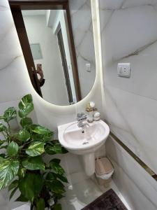 زمالك بجوار كليه التربيه الفنيه و الموسيقى