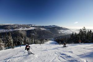 Apartmán Vrchlabí Krkonoše