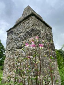 Les Gîtes du Manoir de Keryvon