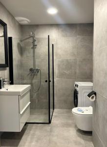 Tilžes apartament