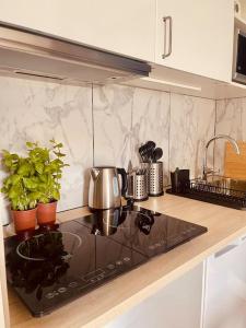 Appartements Le Dalgabio -1 min de la gare- : photos des chambres