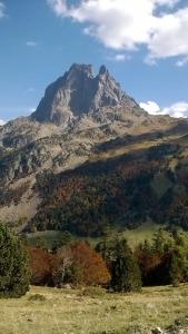 Appartements Arriu 35 : photos des chambres