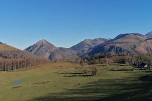 Appartements Arriu 35 : photos des chambres