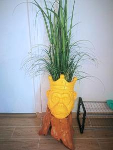 Jungle Escape Romantique