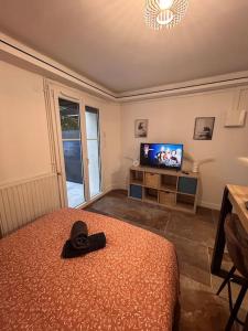 Appartements La suite secrete et son spa abrite : photos des chambres