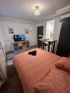 Appartements La suite secrete et son spa abrite : photos des chambres