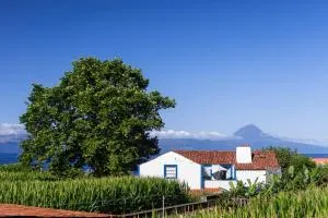 Casas Dos Vimes - Fajã dos Cúberes