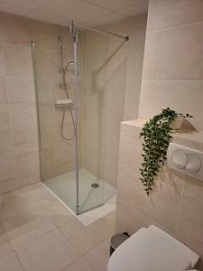 Appartements Villa Medicis Versailles Saint-Cyr-l'Ecole : Appartement 2 Chambres