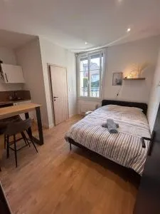 Beau studio tout équipé - 旺德夫尔莱南锡