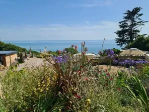 Puckaster Cove Cabin - Whitwell