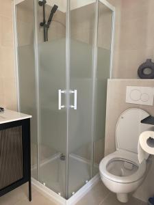 Appartements La parenthese doree Studio a saint bel : photos des chambres