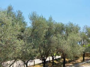 Olive stone house, Ulcinj